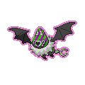 Exotic Swoobat